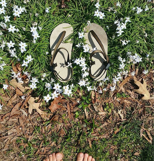 earth_runners_'s tweet photo. Return to Nature 🌸👣🌸👣
.
.
.
.
#foothealth #barefoot #strongfeet #natural #nature #minimalist #zerodrop #toebox #rewild #rewilding #barefootrunning #barefootwalking #investment #health #holistichealth #earthing #grounding #feeltheearth #earthconnection #naturalremedies … https://t.co/16xO5FbYh7