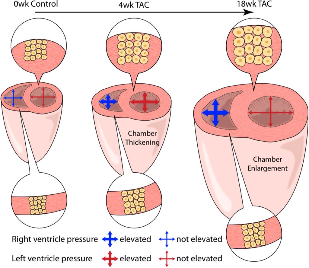 <a href="/mallwood/">Michael Allwood</a> <a href="/simpsonlab_UofG/">Simpson Lab Guelph</a> <a href="/Jerm73/">Dr. Jeremy A Simpson</a>