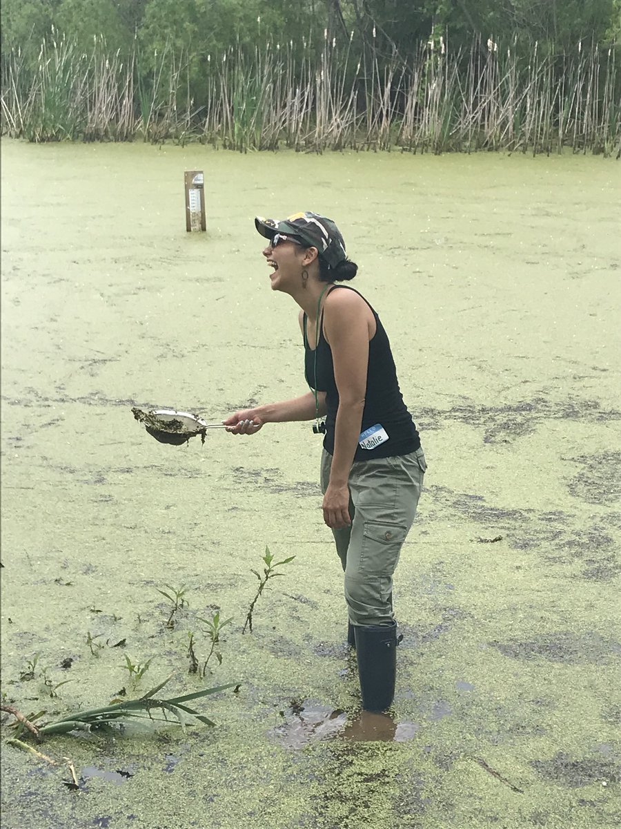 ArtyWISP's tweet photo. #UTOTES #teamwork #naturelovers #waders @MECME_School @randibethjones @seanrussell311 @MEMScience @McGowanK2Sci @MECMEconnectLab @CoachGraf_MECME https://t.co/2TkjaheyCR