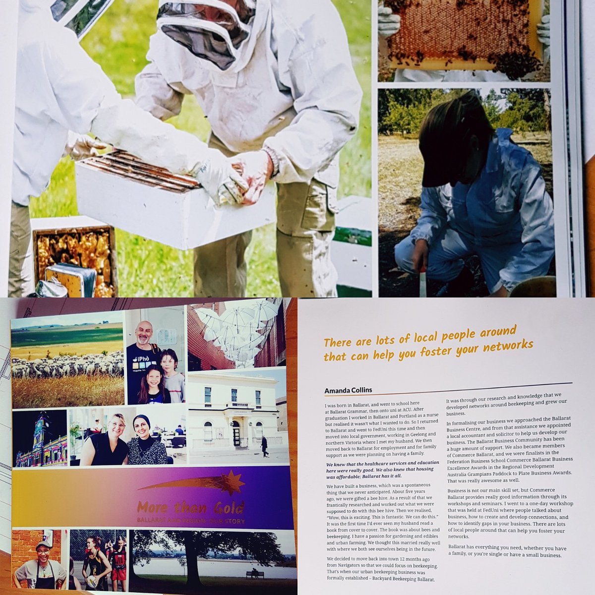 Backyardbeeball's tweet photo. So proud to part of the Committee for Ballarat More Than Gold project.
#MorethanGold 
#backyardbeekeepingballarat https://t.co/foRoA7belk