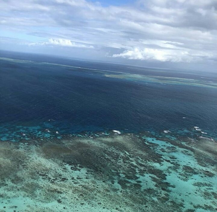 WoochanBrasil's tweet photo. [#IG 15.05.18] Atualização do instagram da mãe do Woochan
Legenda: Voe no céu! Lagoa azul! Peixes tropicais! Basta olhar para uma experiência emocionante! https://t.co/WVEPy1XrBR