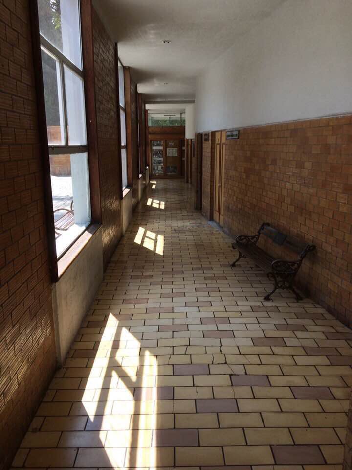 F_DeLasFuentes's tweet photo. Este día recuerdo con entrañable cariño a la Facultad de Jurisprudencia de la Universidad Autónoma de Coahuila, en la cual tuve el honor de impartir clases, sin duda ser maestro es una admirable profesión. #FelizDíaDelMaestro #FernandoLoHacePosible https://t.co/0fdp6UbeWy