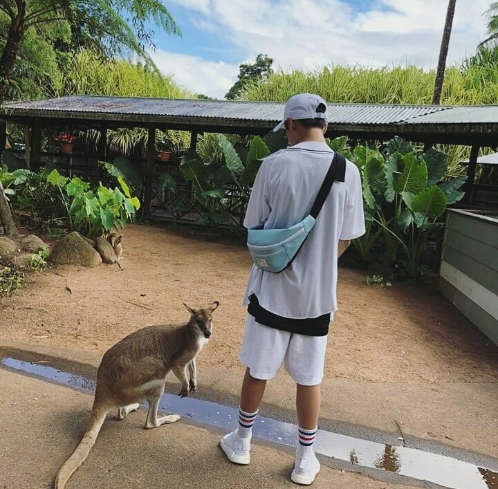 WoochanBrasil's tweet photo. [#IG 15.05.18] Atualização do instagram da mãe do Woochan
Legenda: Conhecendo os cangurus! https://t.co/m9S7KAwxUc