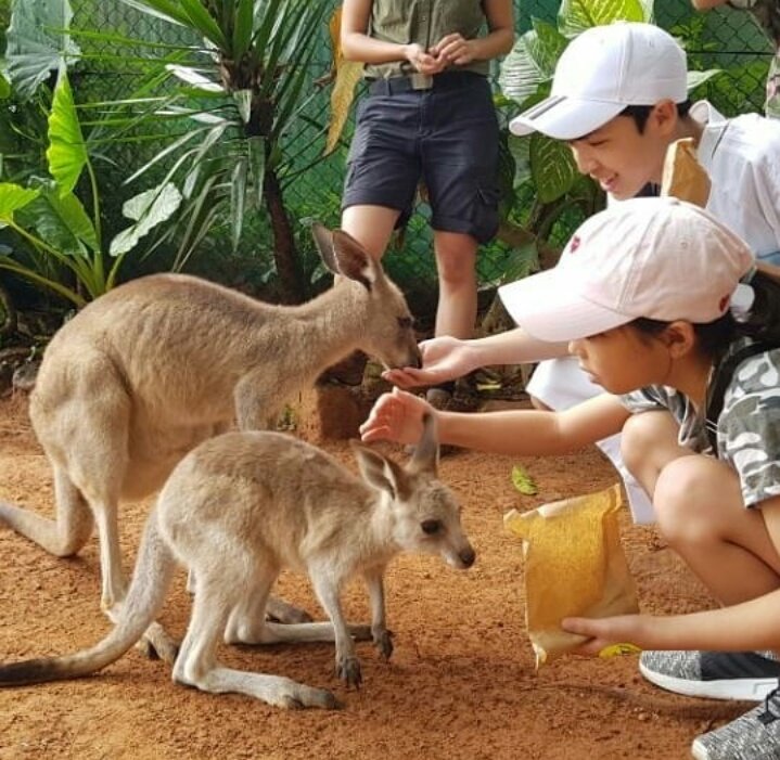 WoochanBrasil's tweet photo. [#IG 15.05.18] Atualização do instagram da mãe do Woochan
Legenda: Conhecendo os cangurus! https://t.co/m9S7KAwxUc