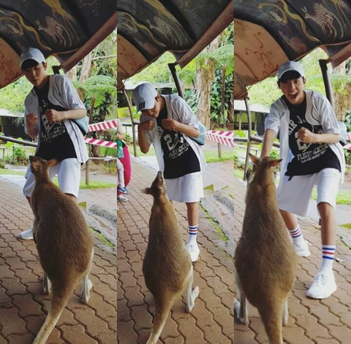 WoochanBrasil's tweet photo. https://t.co/pHZ00Q4UHL