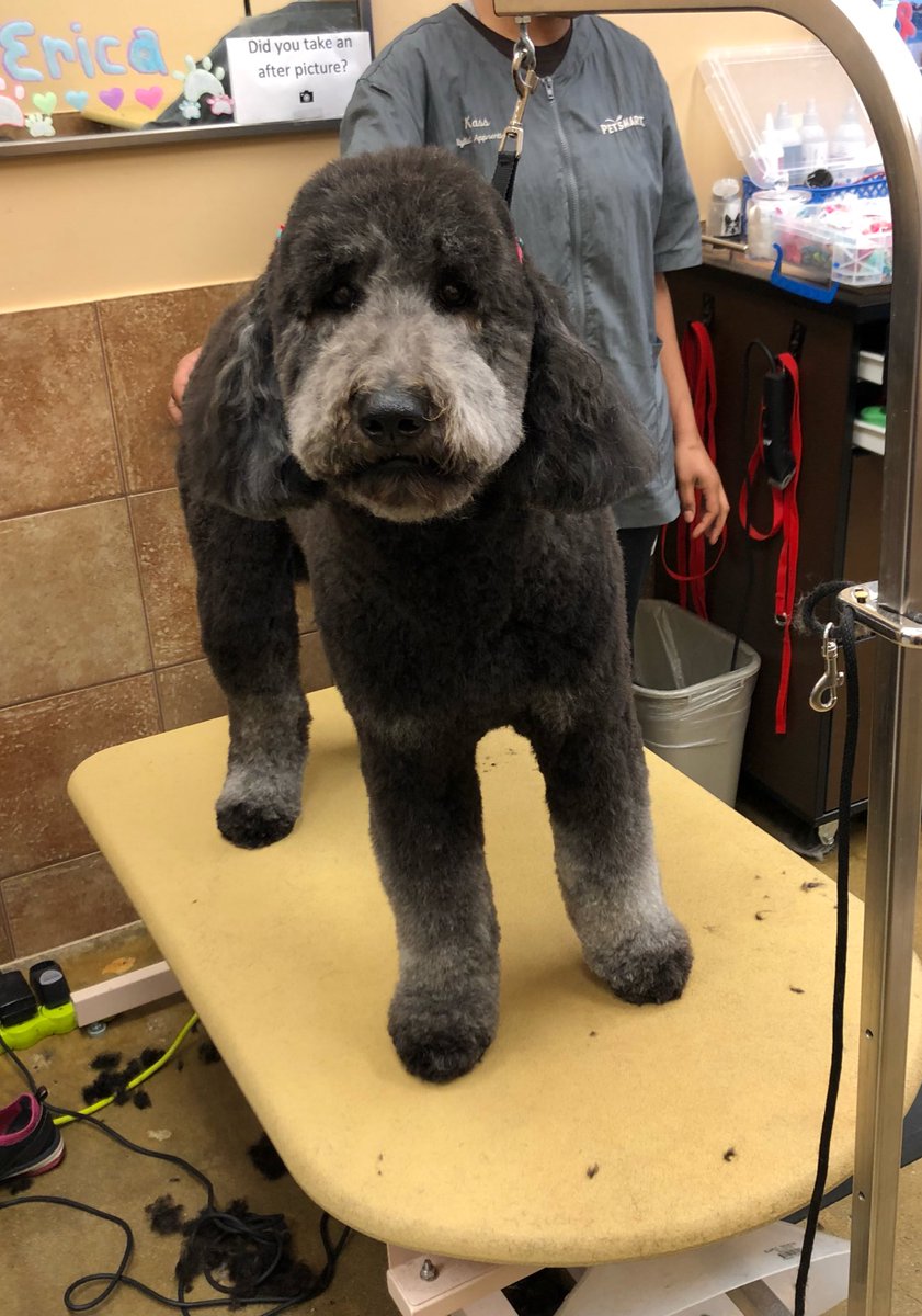 petsmart2480 tweet media