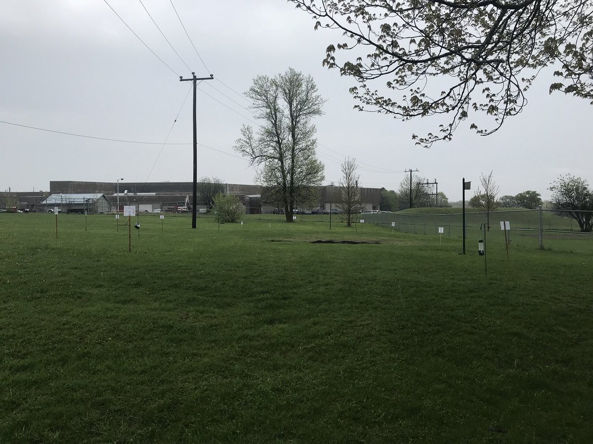 BaysideECOTeam's tweet photo. We’ve got our no mow zone! Lots of birds are visiting the bird feeders and nesting box. @ON_EcoSchools https://t.co/nmsdrJvahG