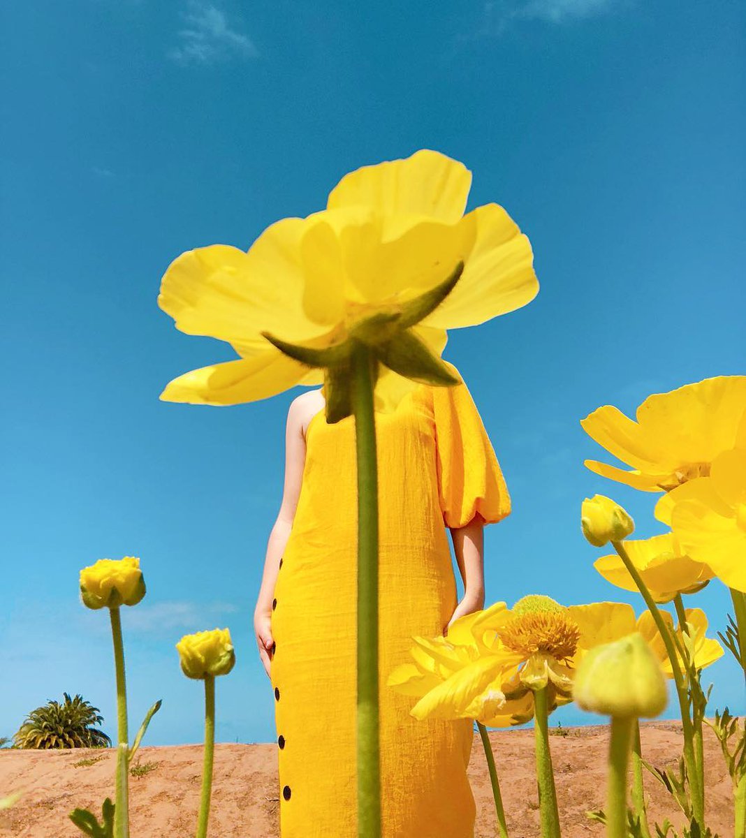 instagram's tweet photo. “I thought about #WHPimagination and said, ‘Let’s get weird.’” 🌼 https://t.co/HWHRaRsy9N https://t.co/4WZpEpnKJX