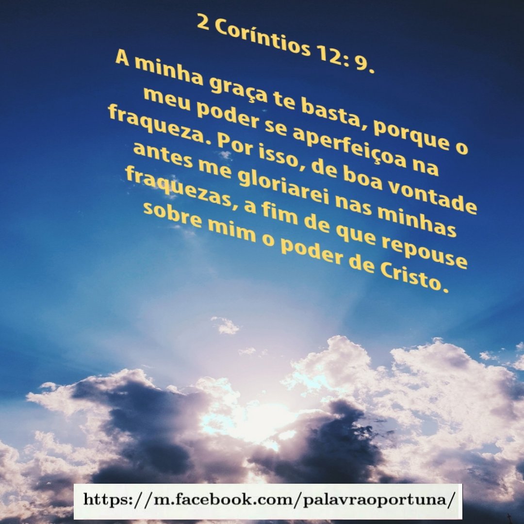 Silvana (@silvana_beta) on Twitter photo 