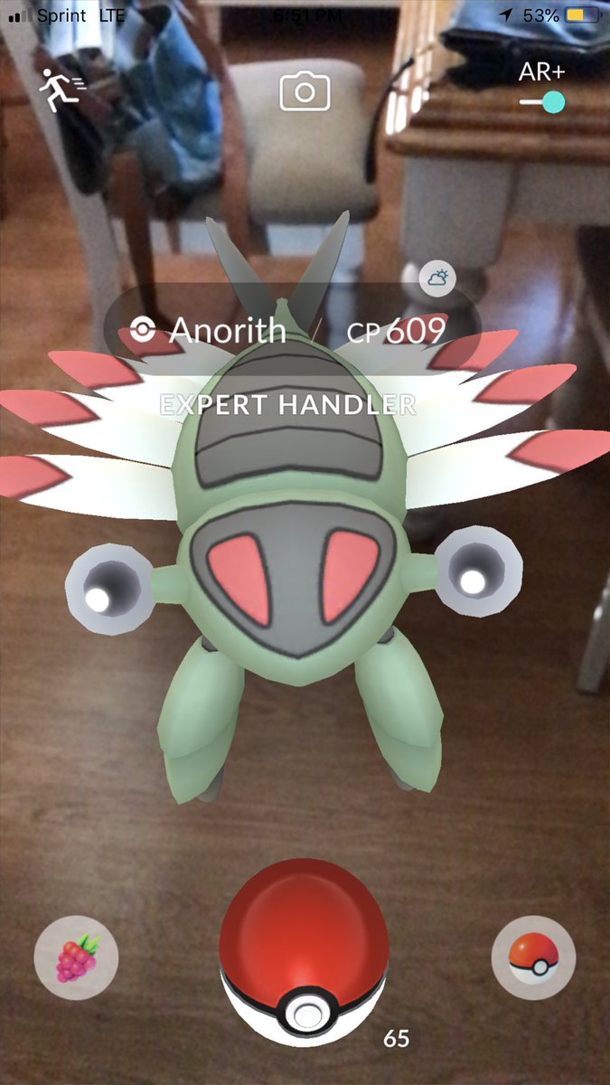 sara_snacks's tweet image. Hey there little guy in my kitchen #ExpertHandler