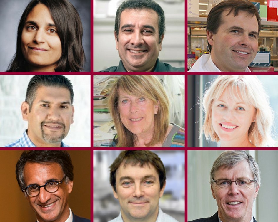 ICYMI: From aging, disease, medicine and exercise, to radiation science, functional materials and electrified vehicles - Nine <a href="/McMasterU/">McMaster University</a> experts recognized with new/renewed Canada Research Chairs bit.ly/2KqW5ry #CRC #NSERC #SSHRC #CIHR