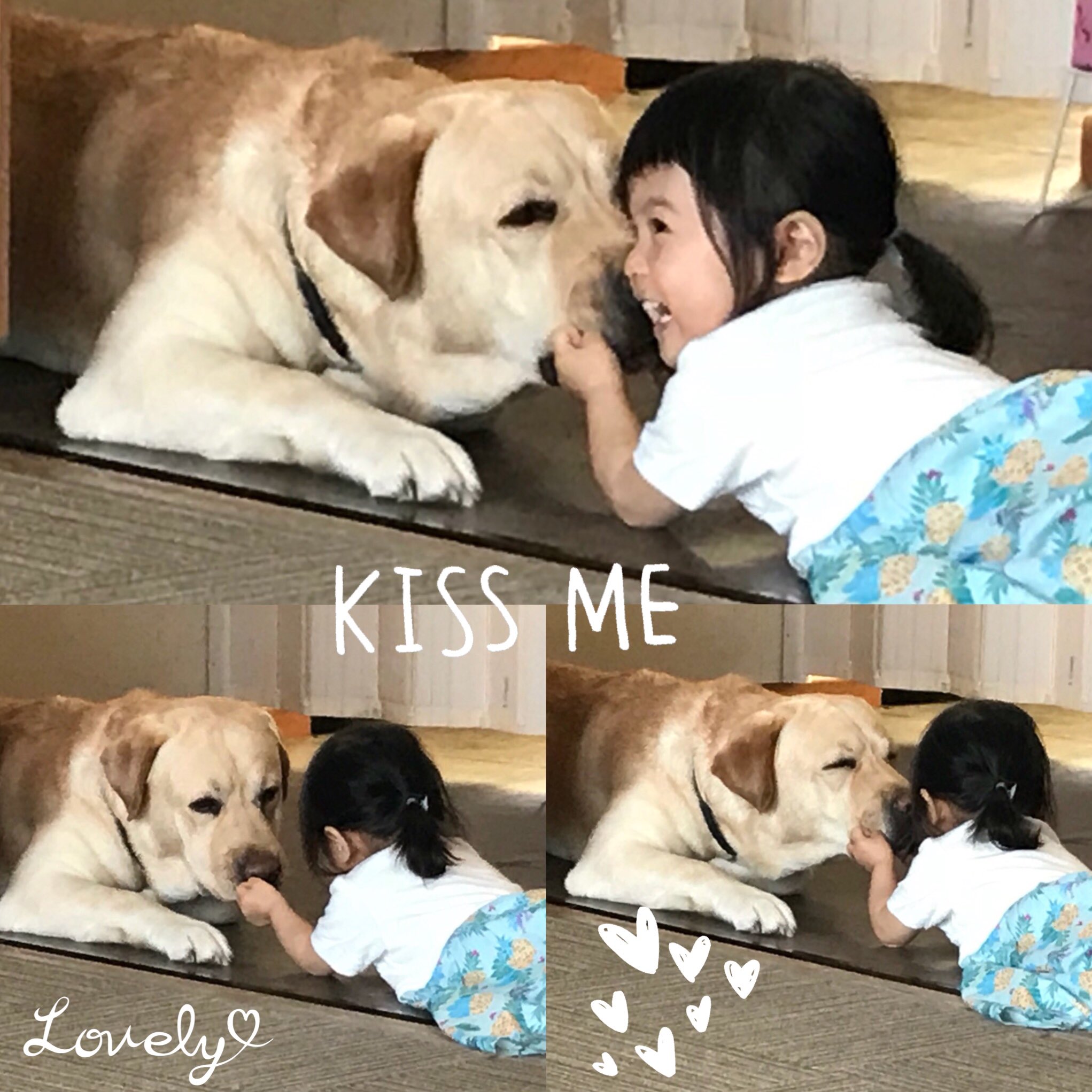 大型犬と子ども Twitter Search Twitter
