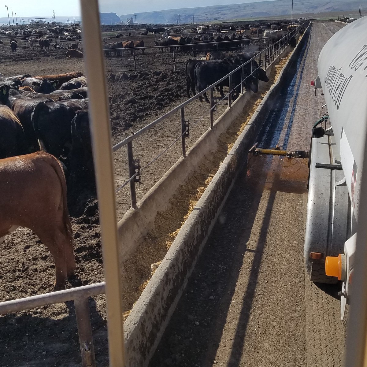 dust_desert's tweet photo. spraying the feed alleys at a feed lot to keep down the dust from the feed trucks. #nomoredust #cattlefeeders #wallula https://t.co/z3nW2EFUYr