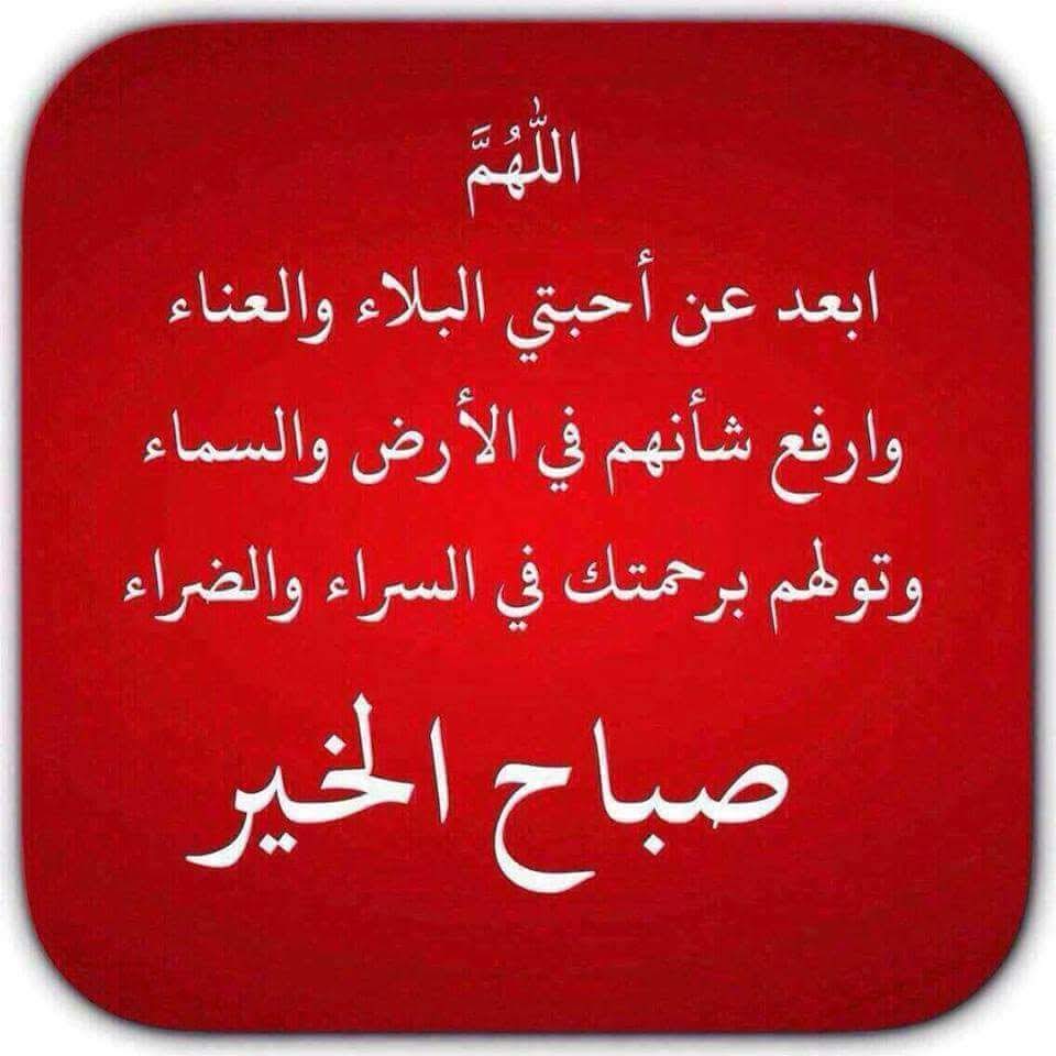🌹صبـــــاح الــــورد🌹  
✳ليس في الدنيا ما يستحق أن نختلف عليه ولا أن نكره بعضنا لاجله 
🔷فعنوان الدنيا : كل من عليها فان 
✴وعنوان الجنة : خالدين فيها حسنت مستقرا ومقاما 
🔶فاعمل الخير وإصفح واعف وتغافل واستغفر كثيرا .
🔹اللهم توفنا وأنت راضٍ عنا . 
           🌹صباح الخير🌹