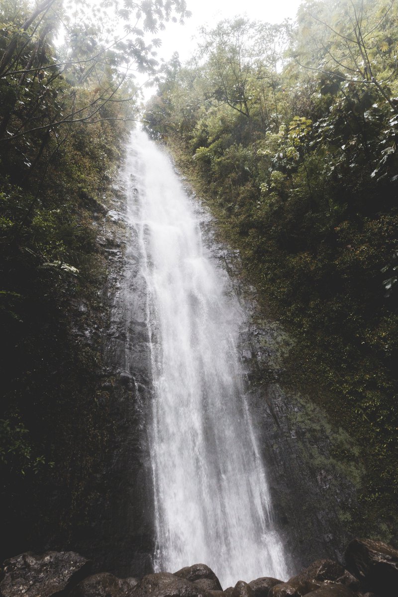 jacobetovar's tweet photo. oahu, hawaii https://t.co/HtRjglzWIa