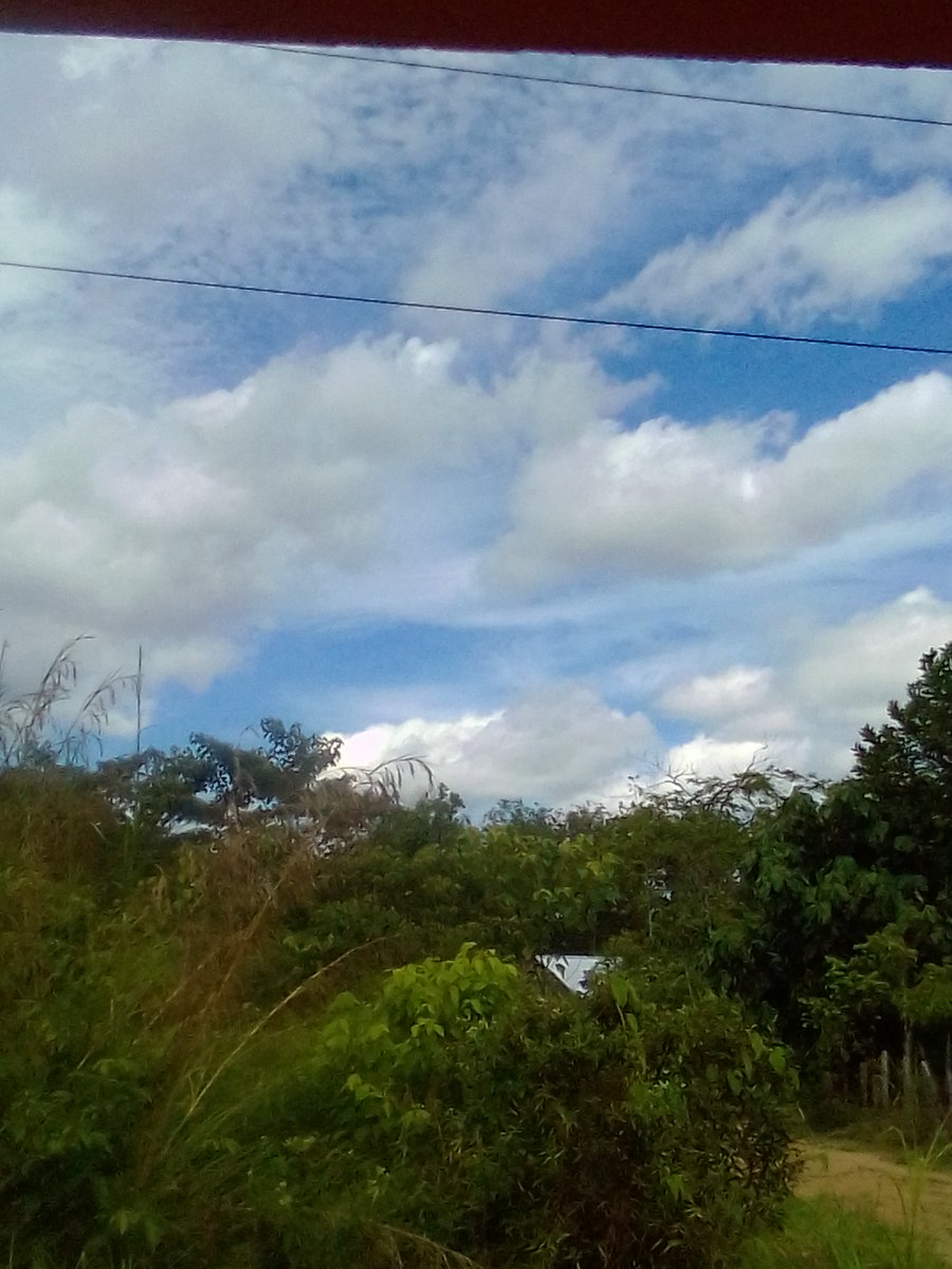 divo_anugrah's tweet photo. Muara tebo
16 mei 2018
Pukul 12:23 https://t.co/v2xRJ4cUv8