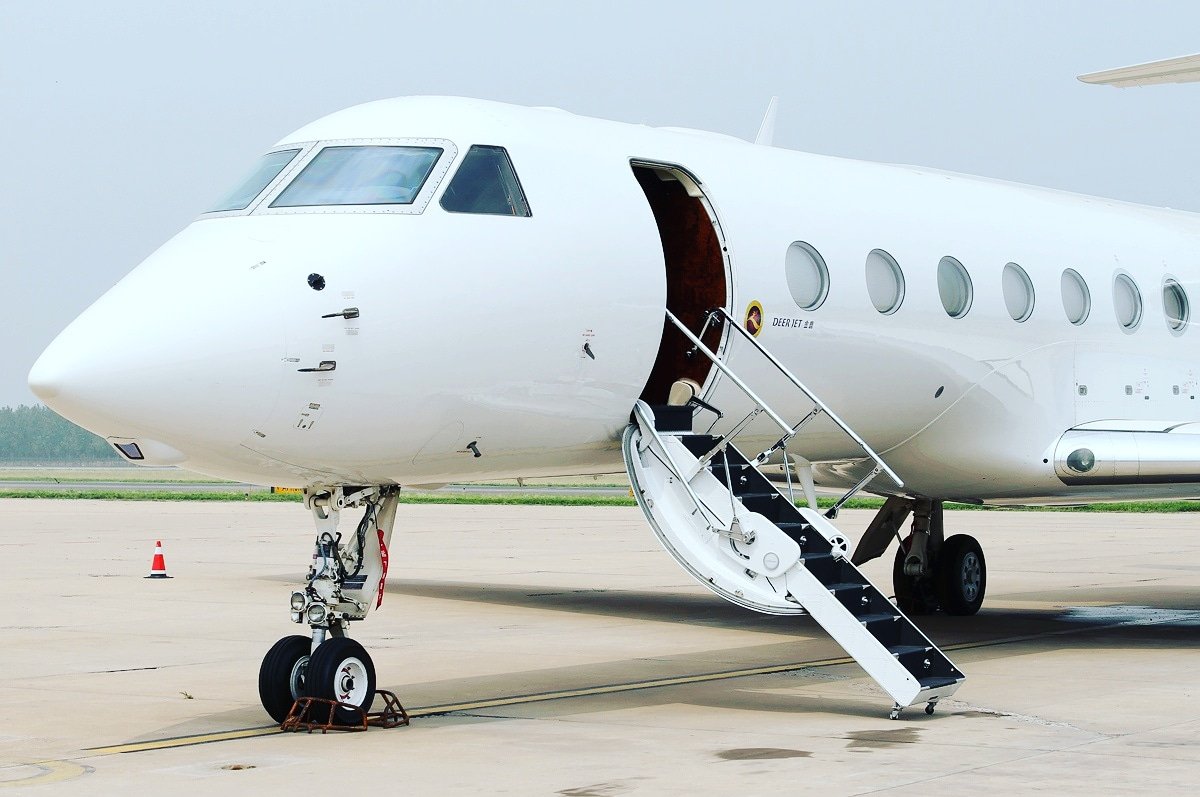 Deer Jet tweet media