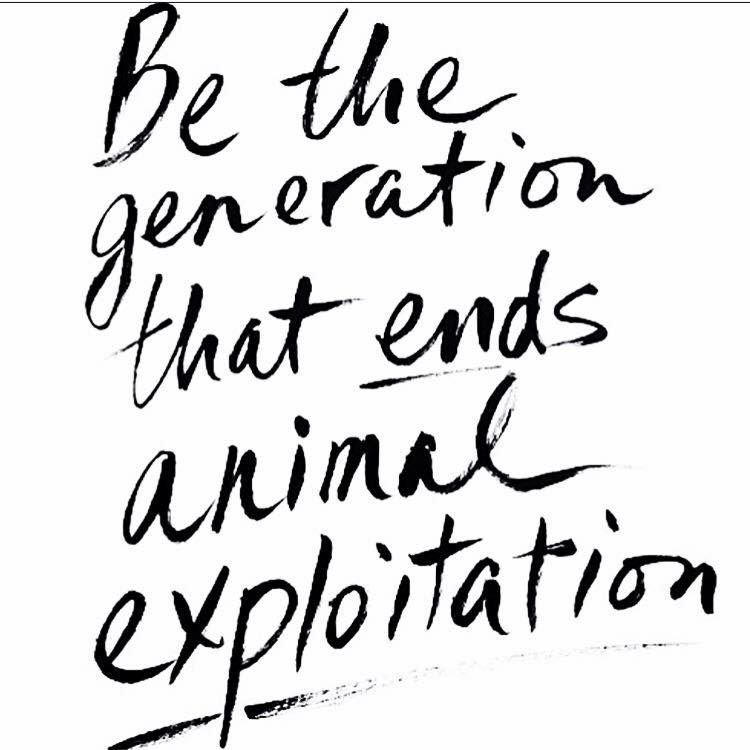 We'll never stop fighting for the animals. 👊💚