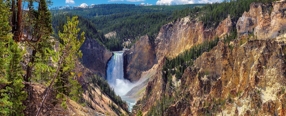 Salamanca Tree Hiddle On Twitter This Was At Yellowstone