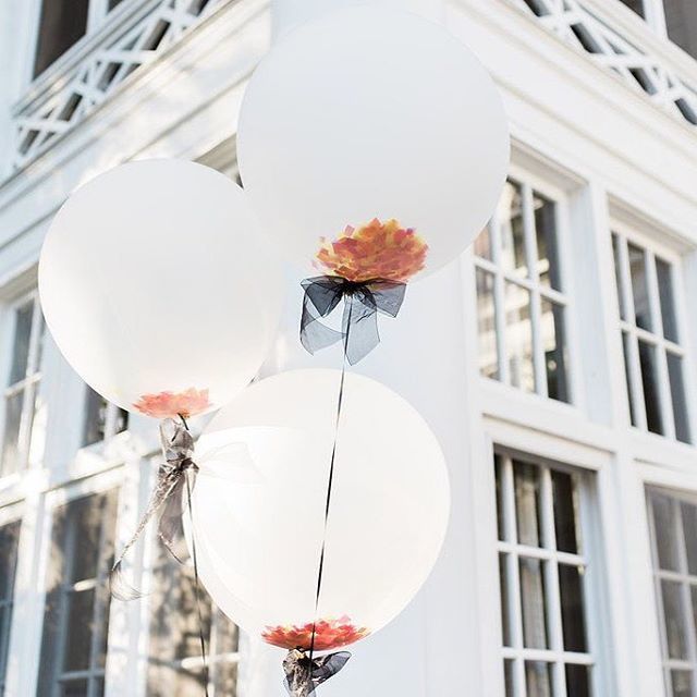 SomethingPerf's tweet photo. How fun are these confetti filled balloons?!⠀
📷: @cathydurig ⠀
.⠀
.⠀
.⠀
#bride #groom #charlotte #704 #engaged #carolinabride #bustld #charlottebride #wedding #weddings #ncwedding #weddingtime #weddingseason #gettingmarried #ido #charlottewedding… https://t.co/tULXI2onlY https://t.co/8AdltCilzt