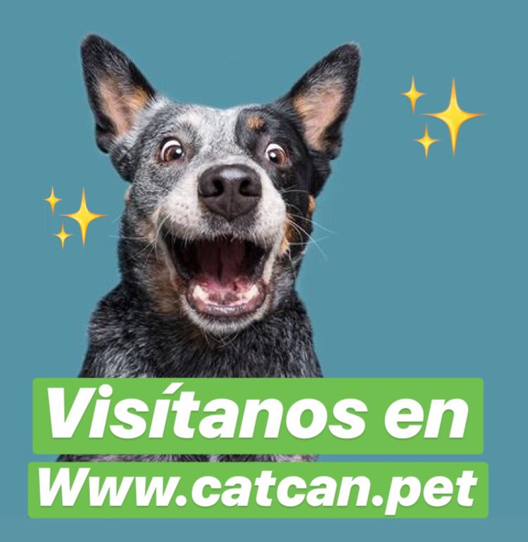CatcanCol's tweet photo. https://t.co/nyLii2LfDK✨💜 #amoamimascota #cuidomiplaneta #catcan https://t.co/oPsRRd7aHk