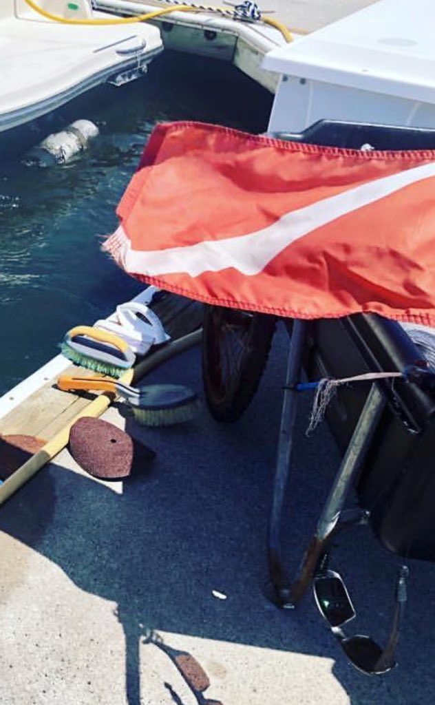 Dudenelle's tweet photo. The job is basically being an underwater janitor. They even push around a little janitors cart with cleaning supplies. 
#SEACUSTODIAN 🦑 https://t.co/ysu0uxdMv2