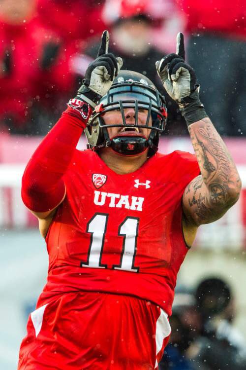 Logan Fano tweet media