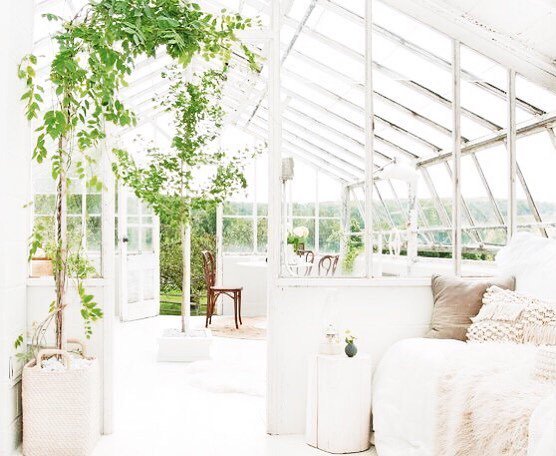 NicollsDesign's tweet photo. • When the outdoors meet the indoors • #🌿
Image via Pinterest / no designer tag .
.
.
.
.
.
.
 #homedesign #homestyle #coronado #sandiego #interiordecoration #homeinspiration #dreamhome #dreampatio #patiogoals #tileaddiction #homerenovation #houseren… https://t.co/27E06aEPfM https://t.co/vkVtfiwwhe