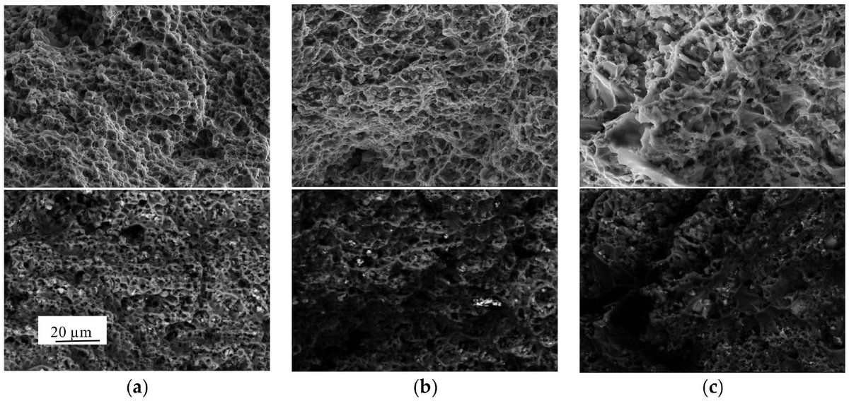 free model systems to study the excretory function of higher