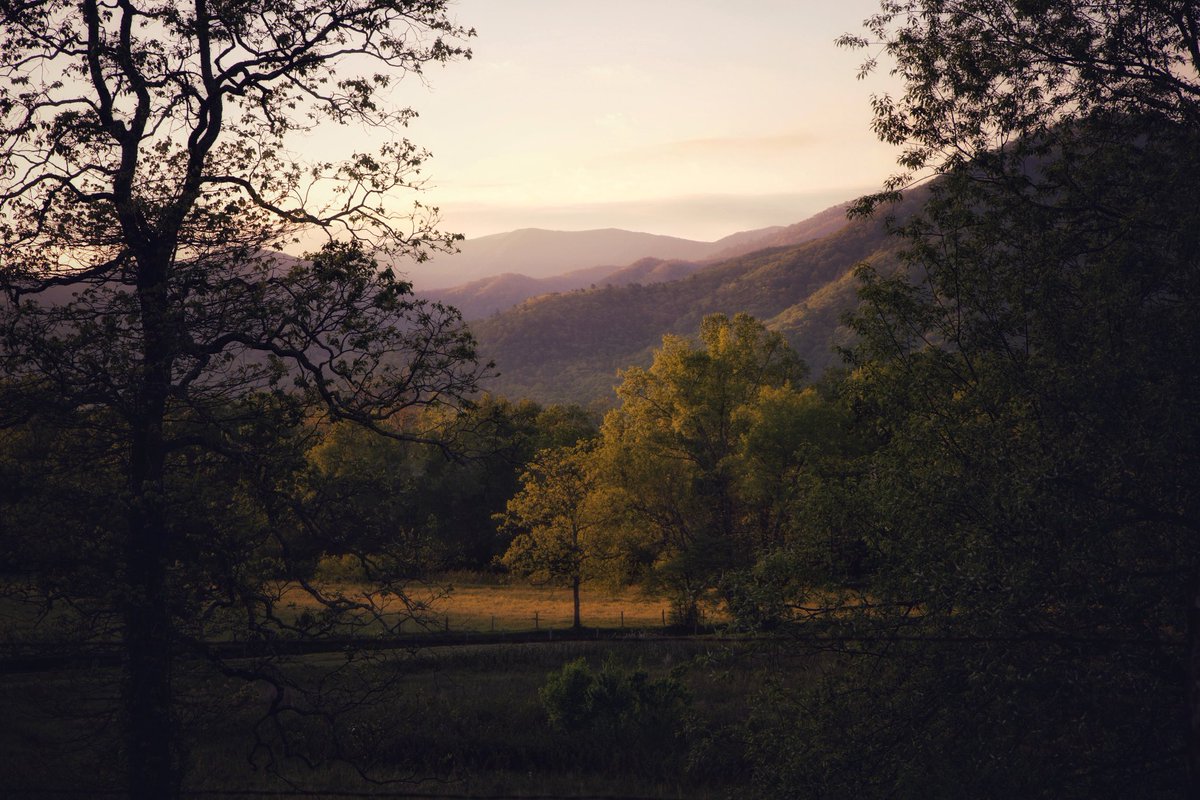 Cades Cove is one of those places that transports you back to a simpler time. Waking up early to watch the sun peek up over the surrounding mountains with that morning light hitting the trees...magical. So worth it. #cadescove #morninglight #mountains #greatsmokymountains
