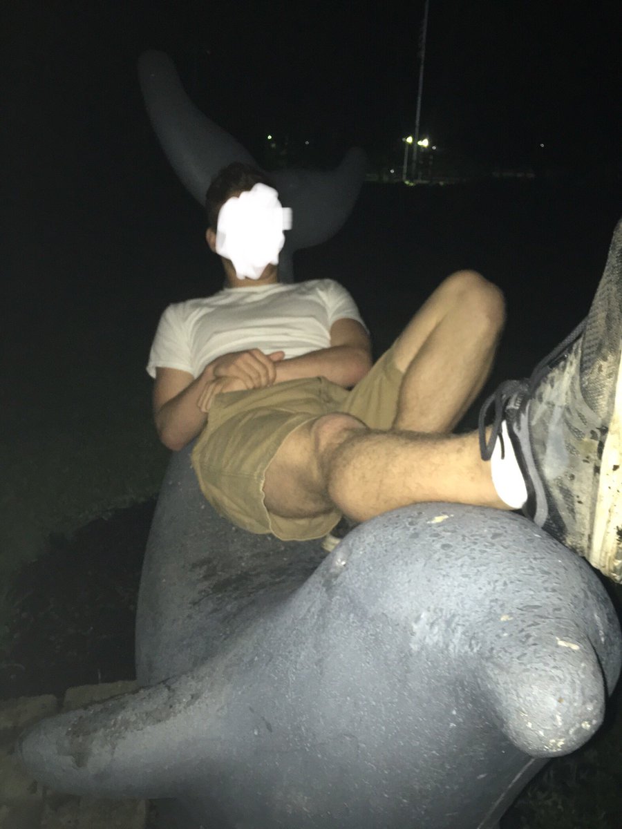 bethlehembench's tweet photo. Experimental outdoor seatery at the forefront of elm ave’s seminal park has garnered unprecedented reviews from the Board due to its uncanny resemblance to a tuskless male narwhal; its artistic merit more than makes up for its uncomfortable fin. 7.1/10 https://t.co/rPdyiDGDzr