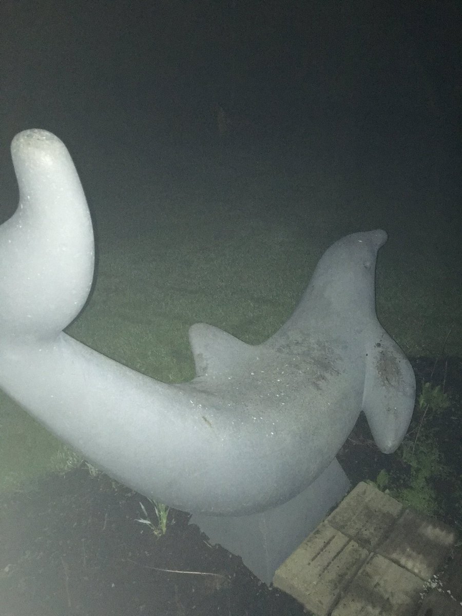 bethlehembench's tweet photo. Experimental outdoor seatery at the forefront of elm ave’s seminal park has garnered unprecedented reviews from the Board due to its uncanny resemblance to a tuskless male narwhal; its artistic merit more than makes up for its uncomfortable fin. 7.1/10 https://t.co/rPdyiDGDzr
