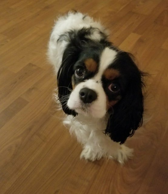 The REAL Mark Johnson tweet media