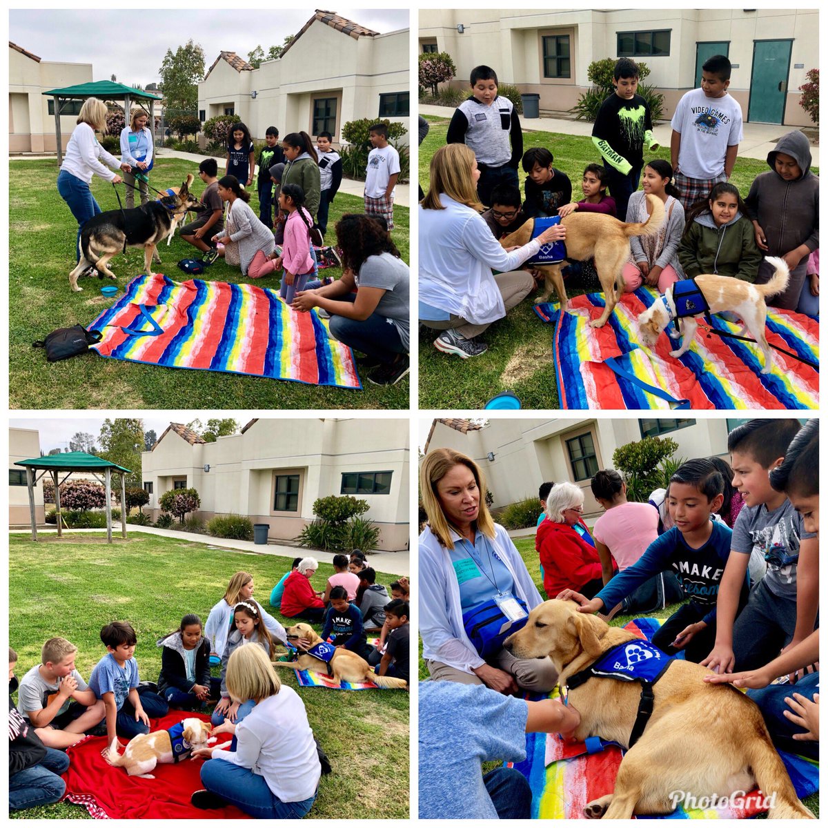 Love on a Leash <a href="/HannStingrays/">Hannalei Elementary</a>  helping to reduce student’s anxiety before state testing.