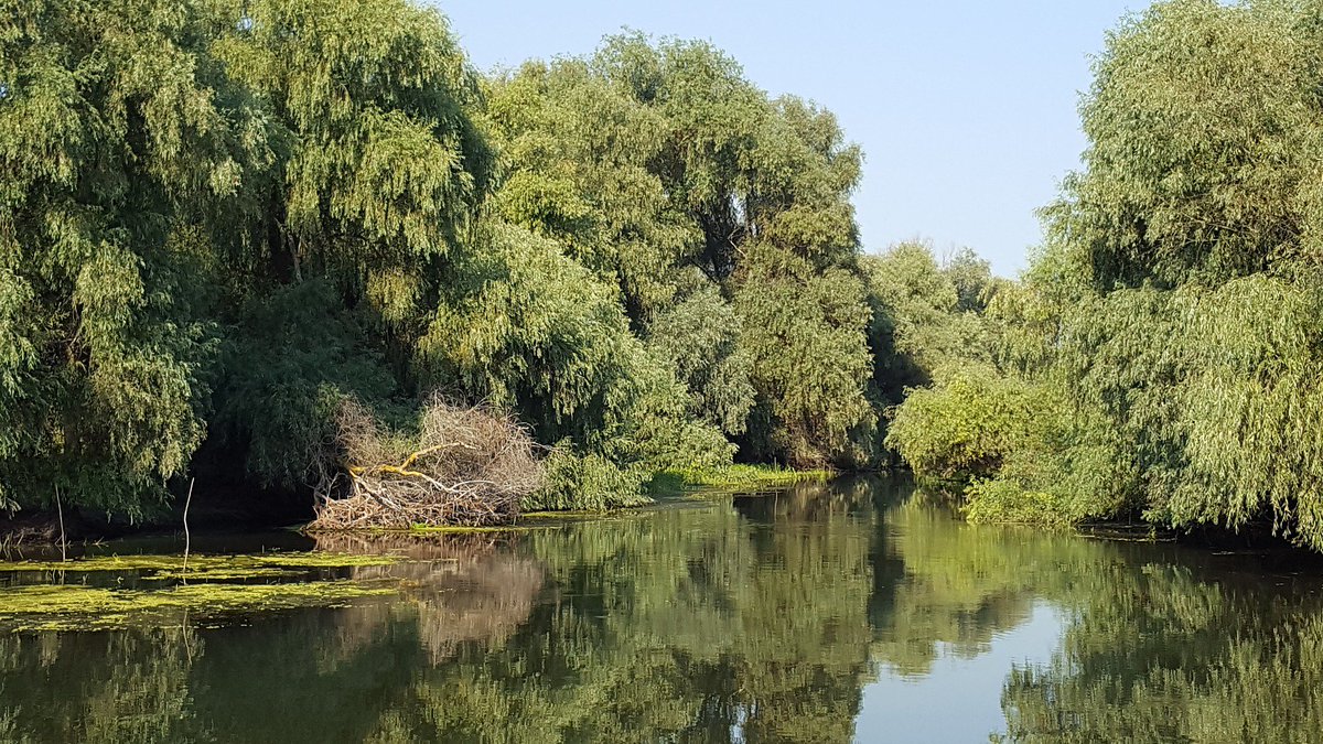 SCENT_EU's tweet photo. #ScentEU partner @ddni_ddtic organises the 26th International Symposium #Deltas and #Wetlands 2018 in Tulcea, Romania, starting todayhttps://scent-project.eu/all-events/26th-international-symposium-deltas-and-wetlands-2018 #H2020 #citizenscience #DanubeDelta https://t.co/Ruv9FYCvID