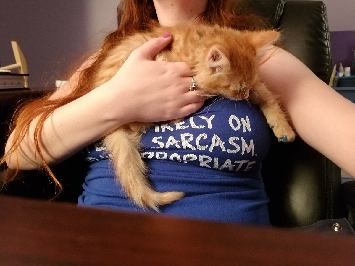 NerdyKnitter42's tweet photo. Caleb has succumbed to the boob nap. @TalksMachina runs past his bed time. #TalksMachina #calebwidogast #CriticalRole #critterkitty #boobnap #boobcat #tittykitty #orangekitten https://t.co/AyfmHcUxye