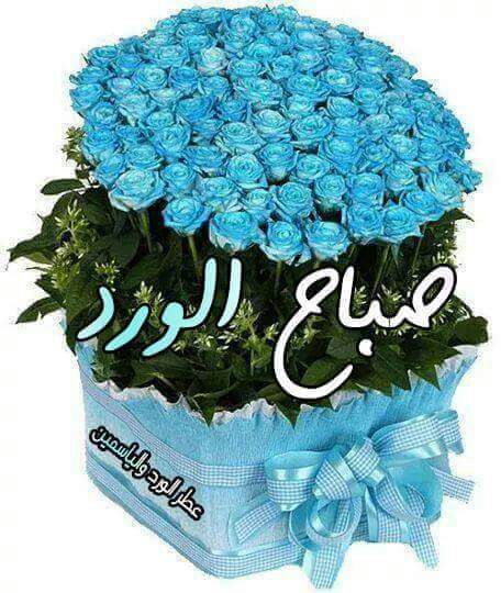 يارب (@hommkj) on Twitter photo 