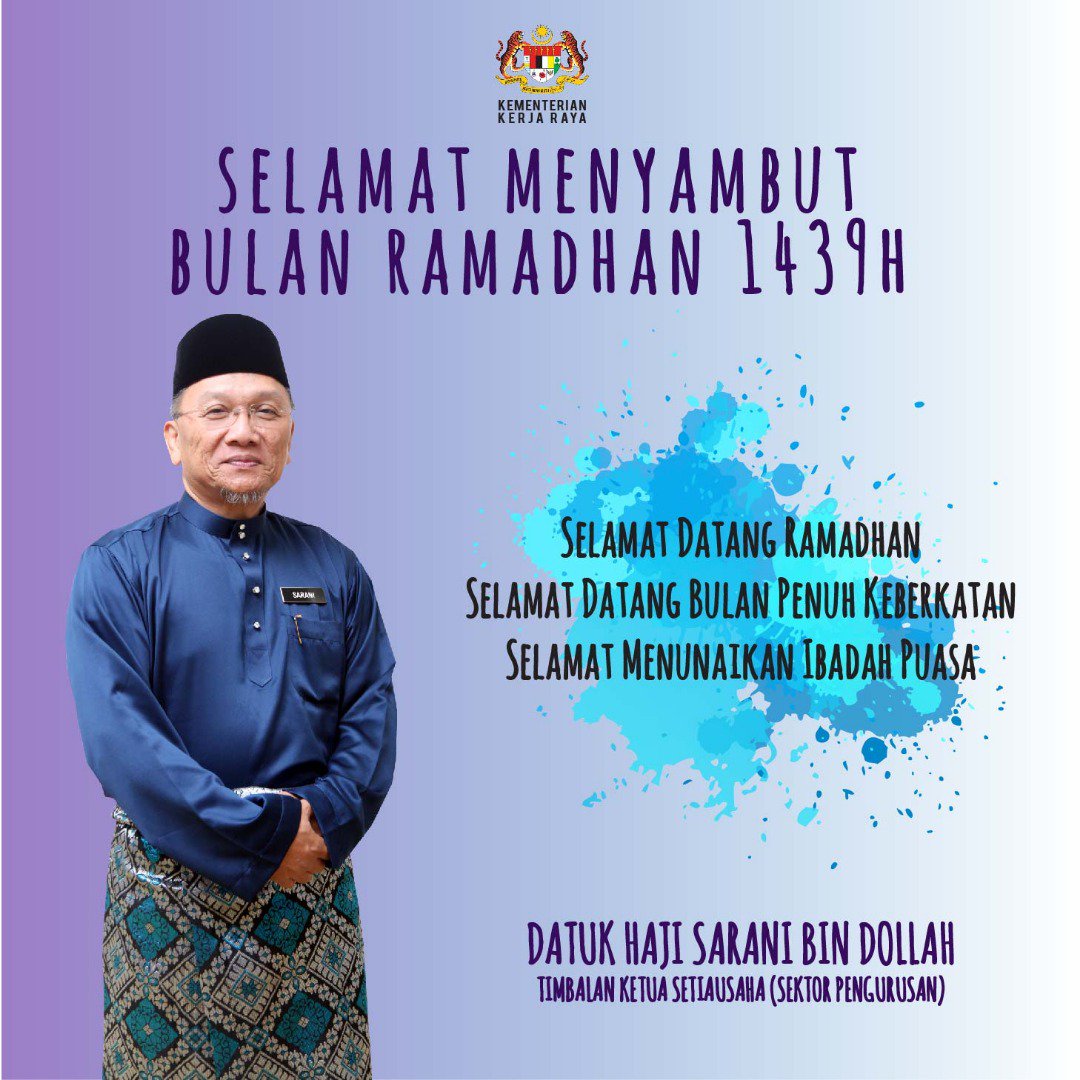 saranidollah tweet media