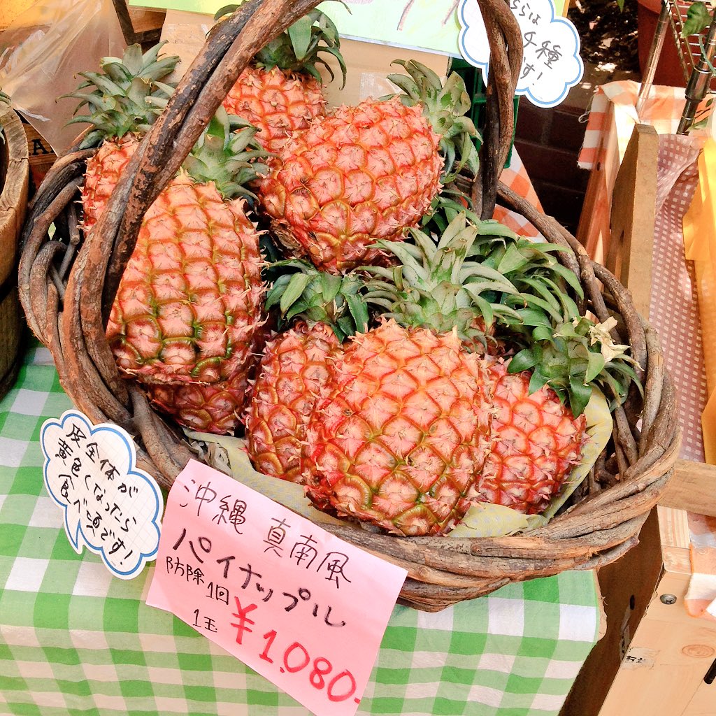 クレヨンハウス Auf Twitter 東京店オーガニック野菜市場 沖縄県産パイナップル食べ頃です ピーチパインと言われるこのパイナップルは 果肉が白く 白桃のような上品な甘みが特徴です 皮が赤くオレンジ色になって食べ頃になってます ぜひお召し上がり