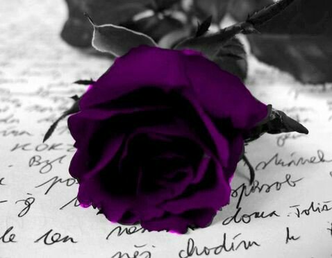 Olivia Adele💋💋 (@oadele53) on Twitter photo <a href="/pat_be001/">Richard Gilson</a> <a href="/psrimanta/">SRIMANTA CH PRAHARAJ</a> <a href="/r95731/">💓 s a R a v 💓 🇮🇳मेरा भारत महान🇮🇳 🥰100 K+🥰</a> @VictoriaD6363 @CristinPereyra <a href="/FaouSouma/">SOUMA Faou</a> <a href="/hamoody1760/">hamoodydr</a> <a href="/PosiePosie1212/">Posie</a> <a href="/EliLeonarda/">👄☀ Ệŀïẓäńġệŀä 🌷🌿</a> <a href="/piotr408/">Pit Szyk</a> <a href="/Hsnklil/">H. Hassan Khalil</a> <a href="/RosanaFava/">🌸rosanafava 50K🌸</a> <a href="/BrettCateley/">ifb</a> <a href="/SmolkoZofia/">Zofia Sikorska.</a> @alen_luciana <a href="/PRiengmond/">pisamai riengmond</a> <a href="/shinunao2/">naonao shakura🌸🌸🌸</a> <a href="/dilruba_lees/">Dee_UK🇬🇧🇺🇦</a> @Jeannet07399596 <a href="/angelicagallegs/">🇧🇷 ♫J.Angelica G. Gallegos♫🇧🇷</a> <a href="/yianniseinstein/">Yiannis Einstein-Ιωάννης Αρβανιτάκης</a> <a href="/Kamel11821020/">Kamil</a> @kazurin4428 <a href="/Nanda_Olive/">Via Nanda Olive</a> <a href="/jlferguson50/">Joe ☞#eReferenceDesk</a> <a href="/SimplesmenteSyl/">💄💋🍓SYL🍒👠🍷</a> <a href="/Zhbabar05/">Zohaib Babar 🇵🇰</a> <a href="/pantone213u/">Magenta</a> <a href="/SuFernandes68/">Sueli Fernandes</a> <a href="/AmreshwarS/">Amreshwar P Sinha</a> <a href="/saulastam/">Sastam_25</a> <a href="/alkhateeb/">abdalkareem alkhatib</a> <a href="/WALLI27/">Jhon f perez🎶🎸🚵☯</a> <a href="/Cris_Abdalla/">Cristiane C. Abdalla</a> <a href="/Marsuci4/">Marsuci</a> <a href="/eReferenceDesk/">#eReferenceDesk☞ Joe</a> @brendak32405 <a href="/LaurenVictorita/">LAUREN VICTORITA 방탄소년단</a> <a href="/asdrubal1963/">ASDRUBAL OSORIO P.</a> <a href="/TaposKumarBasu/">⭐✳️🇮🇳तापोस🇮🇳✳️⭐</a> <a href="/RitaCampomori/">Rita Campomori</a> <a href="/castelobrw/">Ing. Cesar I Castelo</a> <a href="/LFSRS/">Luciano</a> <a href="/m_studart/">Carolina Studart</a> <a href="/TeresaMOrtiz/">Teresa Ortiz</a> <a href="/ArgosMozart/">César Lievand</a> <a href="/Albertarocksit/">Albertarocks🇨🇦</a> <a href="/SitterBh/">Júlio Bitarães</a> <a href="/vicky_zarazua/">azul</a> <a href="/wingrasiel/">ラジエル</a> 💜💜💜💜💜 <a href="/pat_be001/">Richard Gilson</a> <a href="/psrimanta/">SRIMANTA CH PRAHARAJ</a> <a href="/r95731/">💓 s a R a v 💓 🇮🇳मेरा भारत महान🇮🇳 🥰100 K+🥰</a> @VictoriaD6363 @CristinPereyra <a href="/FaouSouma/">SOUMA Faou</a> <a href="/hamoody1760/">hamoodydr</a> <a href="/PosiePosie1212/">Posie</a> <a href="/EliLeonarda/">👄☀ Ệŀïẓäńġệŀä 🌷🌿</a> <a href="/piotr408/">Pit Szyk</a> <a href="/Hsnklil/">H. Hassan Khalil</a> <a href="/RosanaFava/">🌸rosanafava 50K🌸</a> <a href="/BrettCateley/">ifb</a> <a href="/SmolkoZofia/">Zofia Sikorska.</a> @alen_luciana <a href="/PRiengmond/">pisamai riengmond</a> <a href="/shinunao2/">naonao shakura🌸🌸🌸</a> <a href="/dilruba_lees/">Dee_UK🇬🇧🇺🇦</a> @Jeannet07399596 <a href="/angelicagallegs/">🇧🇷 ♫J.Angelica G. Gallegos♫🇧🇷</a> <a href="/yianniseinstein/">Yiannis Einstein-Ιωάννης Αρβανιτάκης</a> <a href="/Kamel11821020/">Kamil</a> @kazurin4428 <a href="/Nanda_Olive/">Via Nanda Olive</a> <a href="/jlferguson50/">Joe ☞#eReferenceDesk</a> <a href="/SimplesmenteSyl/">💄💋🍓SYL🍒👠🍷</a> <a href="/Zhbabar05/">Zohaib Babar 🇵🇰</a> <a href="/pantone213u/">Magenta</a> <a href="/SuFernandes68/">Sueli Fernandes</a> <a href="/AmreshwarS/">Amreshwar P Sinha</a> <a href="/saulastam/">Sastam_25</a> <a href="/alkhateeb/">abdalkareem alkhatib</a> <a href="/WALLI27/">Jhon f perez🎶🎸🚵☯</a> <a href="/Cris_Abdalla/">Cristiane C. Abdalla</a> <a href="/Marsuci4/">Marsuci</a> <a href="/eReferenceDesk/">#eReferenceDesk☞ Joe</a> @brendak32405 <a href="/LaurenVictorita/">LAUREN VICTORITA 방탄소년단</a> <a href="/asdrubal1963/">ASDRUBAL OSORIO P.</a> <a href="/TaposKumarBasu/">⭐✳️🇮🇳तापोस🇮🇳✳️⭐</a> <a href="/RitaCampomori/">Rita Campomori</a> <a href="/castelobrw/">Ing. Cesar I Castelo</a> <a href="/LFSRS/">Luciano</a> <a href="/m_studart/">Carolina Studart</a> <a href="/TeresaMOrtiz/">Teresa Ortiz</a> <a href="/ArgosMozart/">César Lievand</a> <a href="/Albertarocksit/">Albertarocks🇨🇦</a> <a href="/SitterBh/">Júlio Bitarães</a> <a href="/vicky_zarazua/">azul</a> <a href="/wingrasiel/">ラジエル</a> 💜💜💜💜💜
