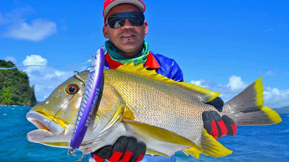 OceanBlueFish's tweet photo. Stick baits are one of the most effective lures out there. Check out a few of our tips on how to get the most of fishing with one of the most popular lures on the market today! #oceanblu #vanuatufishing #fishingvanuatu #stickbaits
https://t.co/9ZFWHvZwiD https://t.co/jBQ93Wa5ph