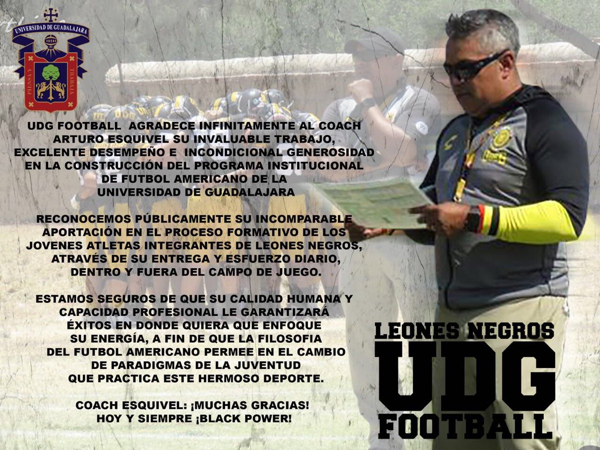 LEONES NEGROS tweet media