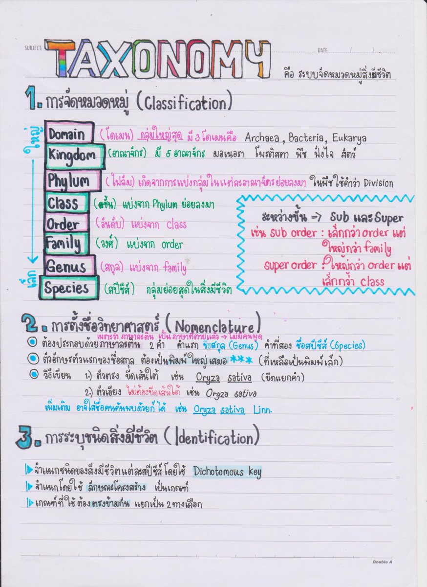 Bisstories's tweet photo. แจกกกกกกกก!!!!! สรุปphylumทั้ง5 เป็นเรื่องที่ชอบในวิชาชีวะ💚 
#แจกสรุป #แจกสรุป #dek62  #dek63 https://t.co/oEkZIlKa1S