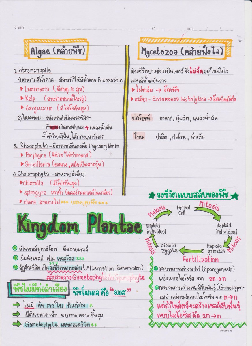 Bisstories's tweet photo. แจกกกกกกกก!!!!! สรุปphylumทั้ง5 เป็นเรื่องที่ชอบในวิชาชีวะ💚 
#แจกสรุป #แจกสรุป #dek62  #dek63 https://t.co/oEkZIlKa1S