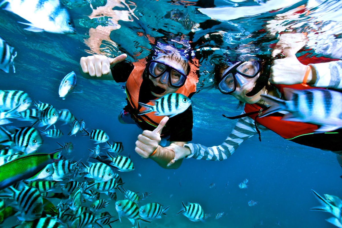 localguidecoid's tweet photo. Best Things to See and Do in Karimunjawa Island https://t.co/foKaaXXCFG #travel #destination #indonesia #wonderfulindonesia #karimunjawaisland #vacation https://t.co/kXSRSTlM8E