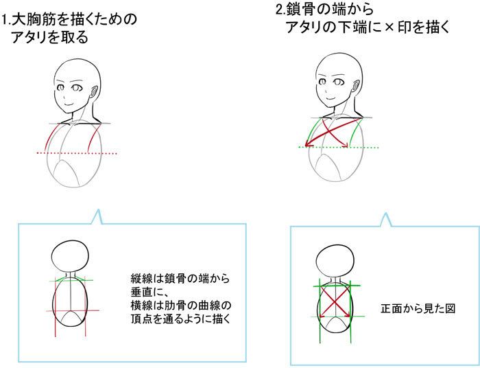 いちあっぷ By Mugenup クリエイティブ制作会社 必要なのは胸骨と鎖骨を意識すること 大胸筋の描き方 T Co Ujh9cwmavd 絵が上手くなる記事はコレ いちあっぷ By Mugenup クリエイティブ制作会社 必要なのは胸骨と鎖骨を意識すること 大胸筋の描き方 T Co Ujh9cwmavd 絵が上手くなる記事はコレ