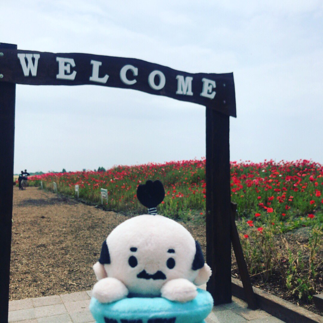 壺侍 つぼざむらい 公式 佐賀県観光prキャラクター 九州佐賀国際空港の近くにポピーの花畑があるのじゃ ٩ ˊwˋ و 赤やピンクのポピーがとってもキレイなのじゃ たくさんの人が癒されていたのじゃ 植えてくれた皆さん ありがとうございますなのじゃ