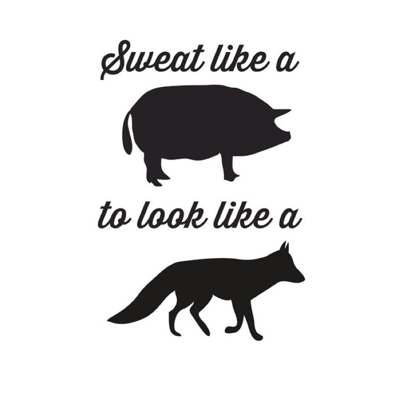 DietGameChanger's tweet photo. Be the best version of YOU! 
Get out there
#workout #sweat #healthy #exercise #diet https://t.co/3q77POn9SY