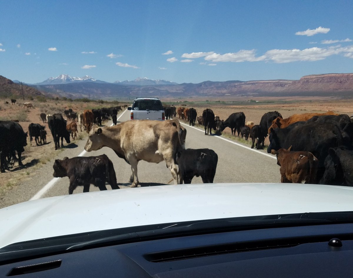 I was late for my meeting. #KMMROADTRIP #COHEALTH