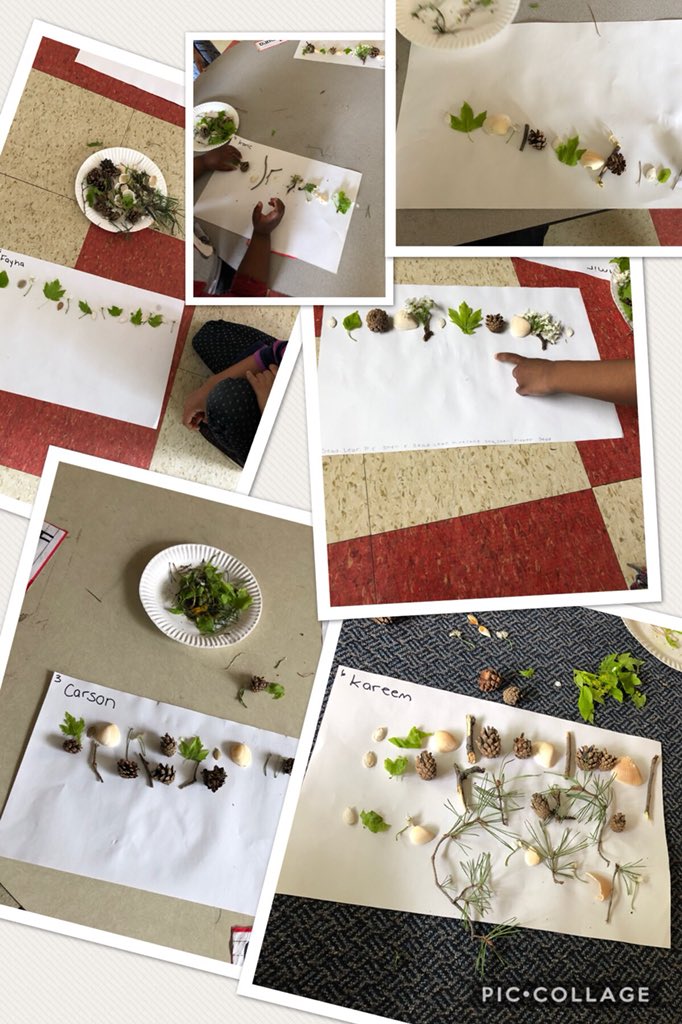 Outdoor education #patterns #explore #inquiry #discover #wearetheelms  <a href="/tdsb_TheElmsJMS/">The Elms JMS</a> 🌼🌲🌸🌿